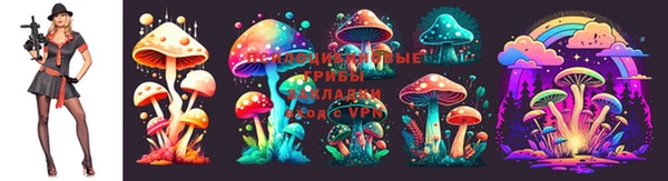 твердый Арсеньев