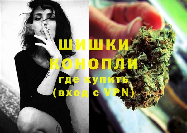 твердый Арсеньев