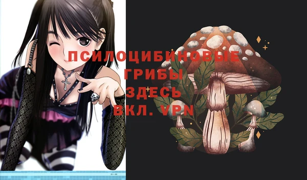 твердый Арсеньев