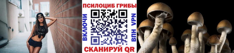ссылка на мегу ТОР  Новый Оскол  Псилоцибиновые грибы ЛСД  дарнет шоп 